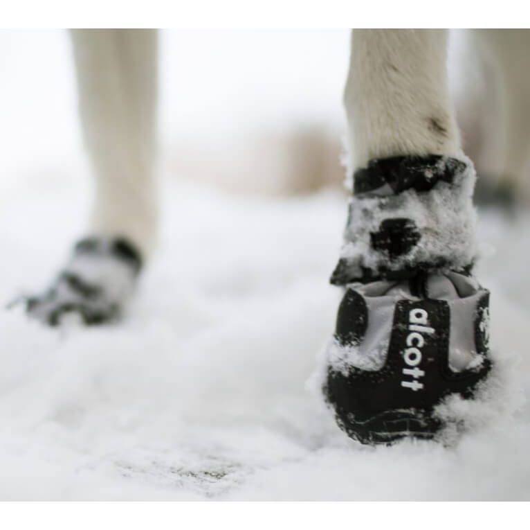 Alcott Adventure Boots