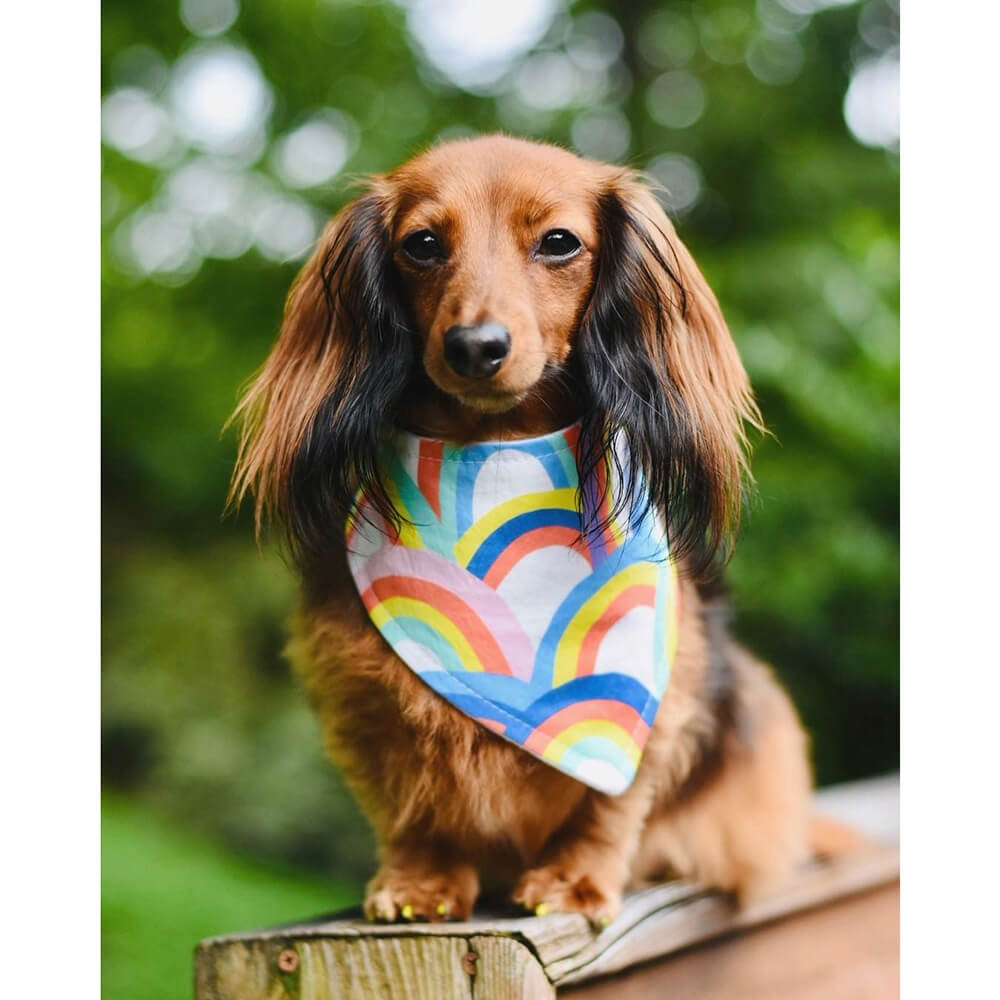 Bibby Bubby Bandana - Rainbow