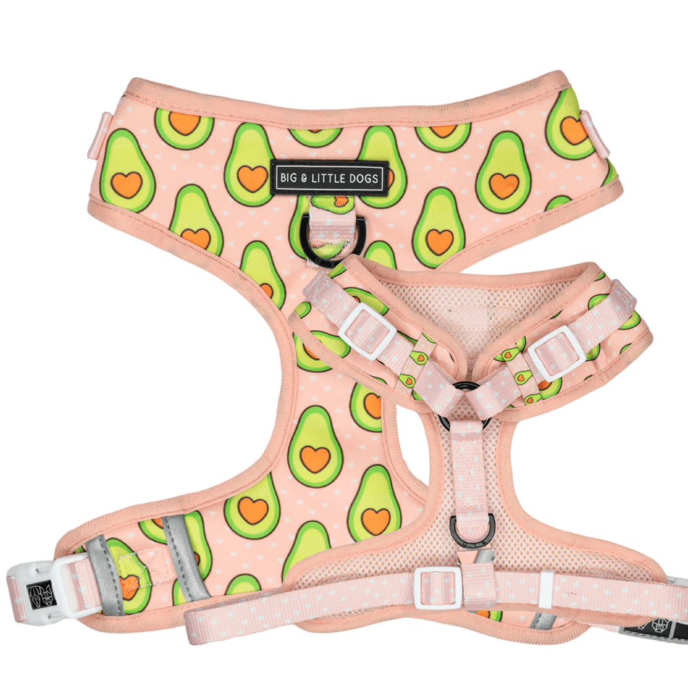 Big and Little Dogs Adjustable Harness: Let's Avo Cuddle