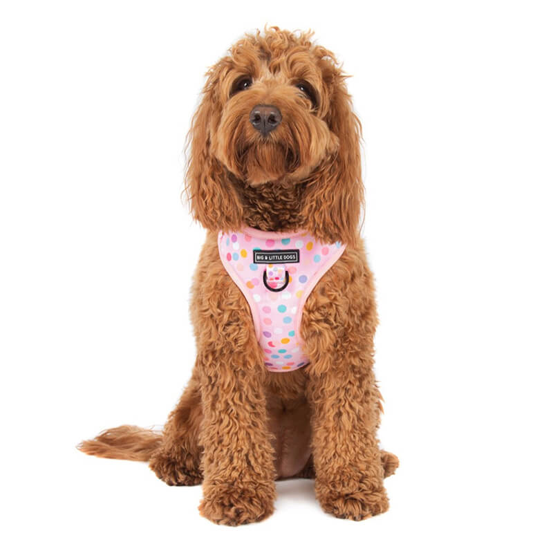 Big and Little Dogs Adjustable Harness: Pink Confetti