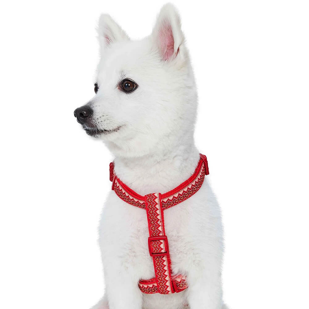 Blueberry Pet Zigzag Chevron Holly Harness