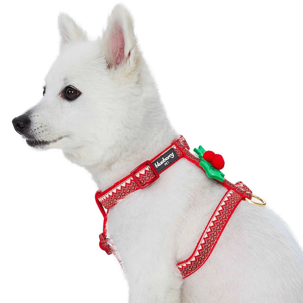 Blueberry Pet Zigzag Chevron Holly Harness