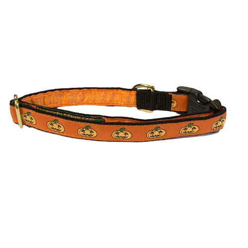 Mackenzie Collar Halloween Pumpkins