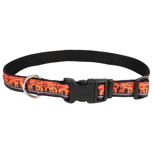 Coastal Pet Halloween Celebration Collar Spooky Graveyard