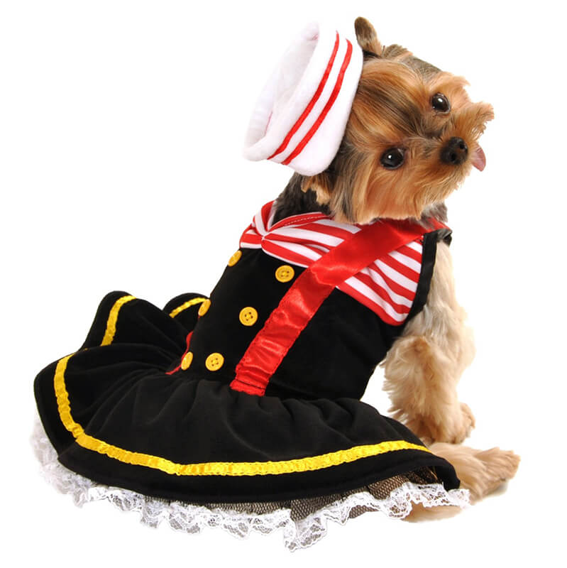 Anit Sweetheart Sailor Halloween Costume
