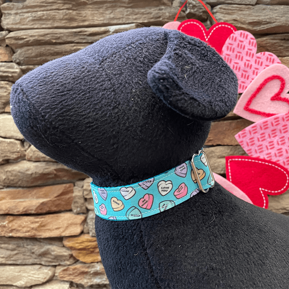 Dapper Dexter Blue Conversation Hearts Collar