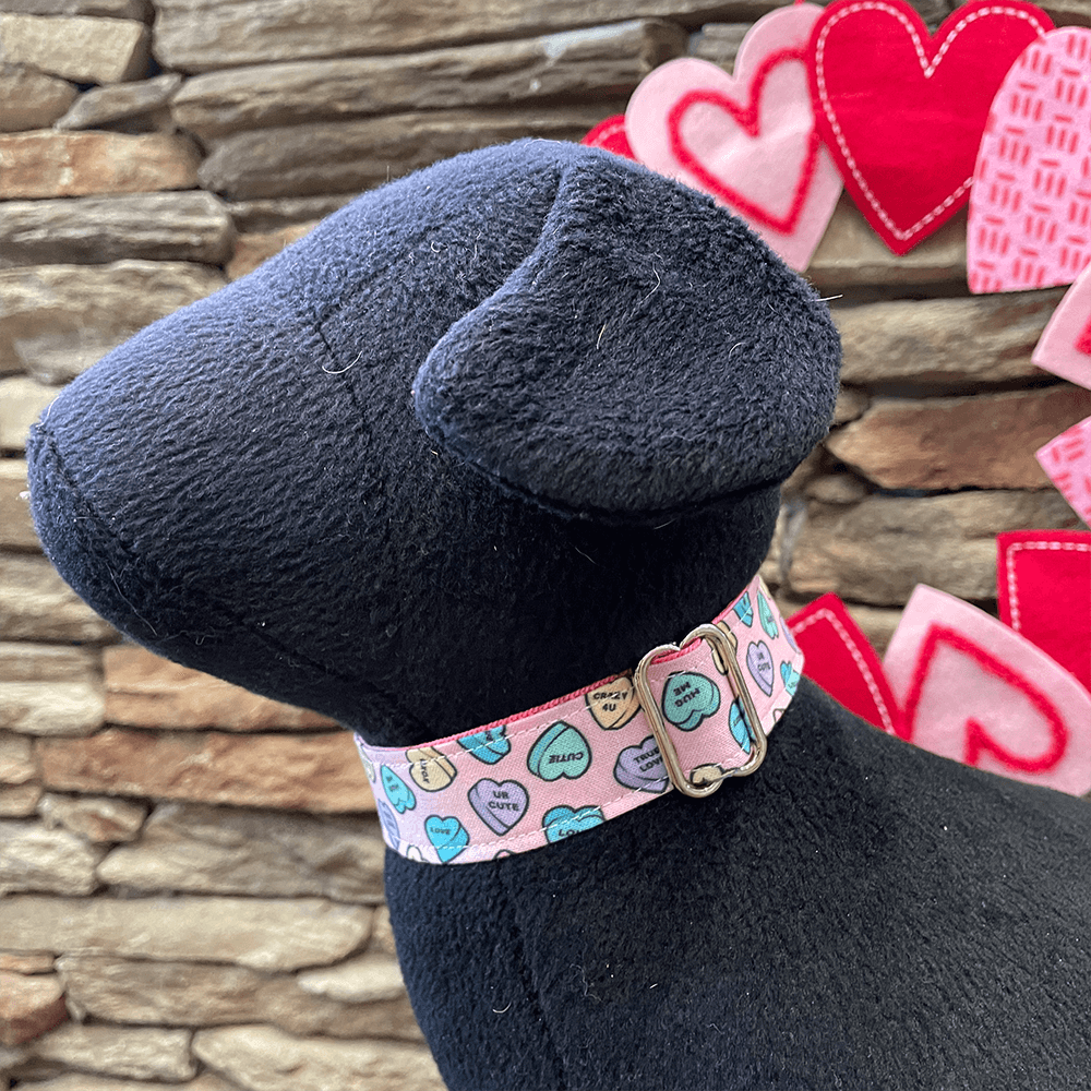 Dapper Dexter Pink Conversation Hearts Collar