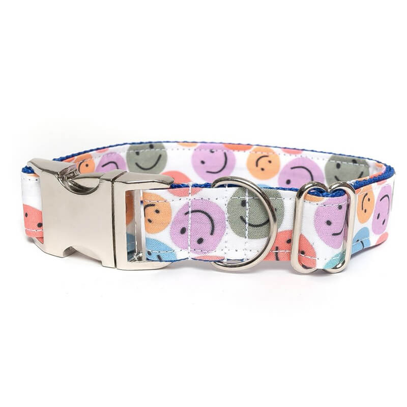 Dapper Dexter Rainbow Smiles Collar