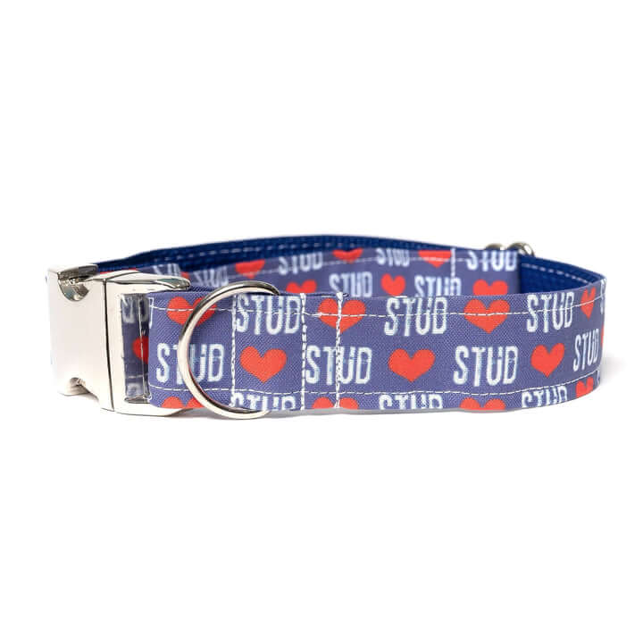Dapper Dexter Stud Heart Collar