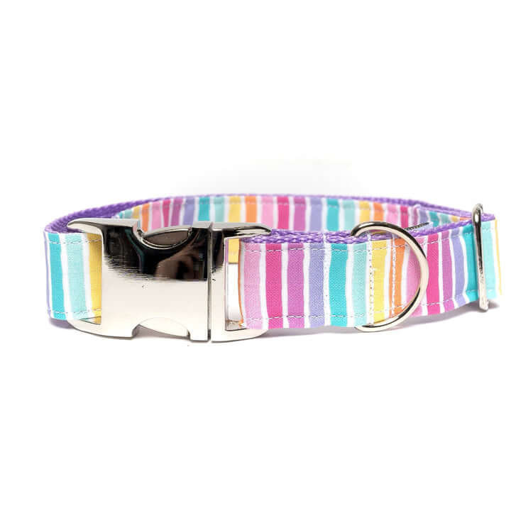 Dapper Dexter Summer Stripes Collar