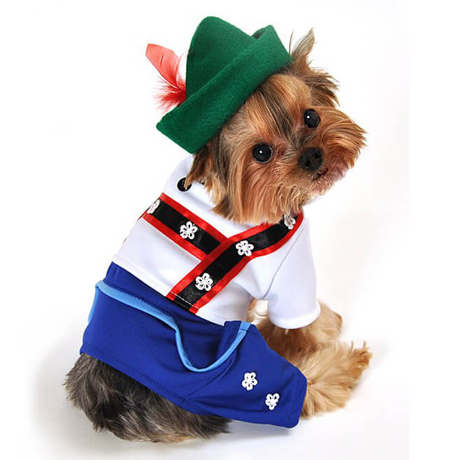 Anit Bavarian Lederhosen Halloween Costume