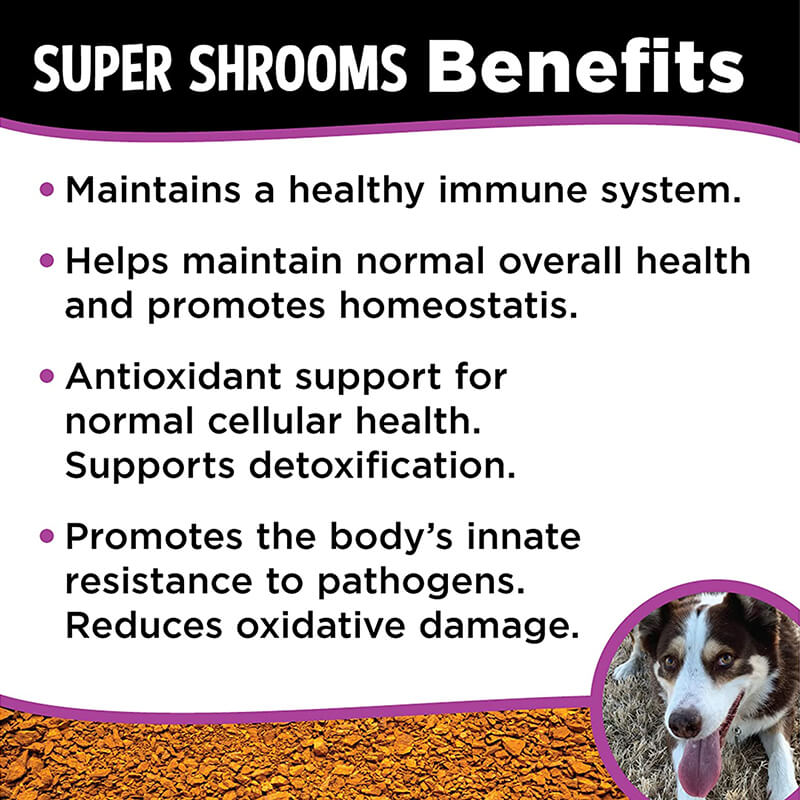 Diggin Your Dog Super Shrooms Medicinal Mushroom Blend
