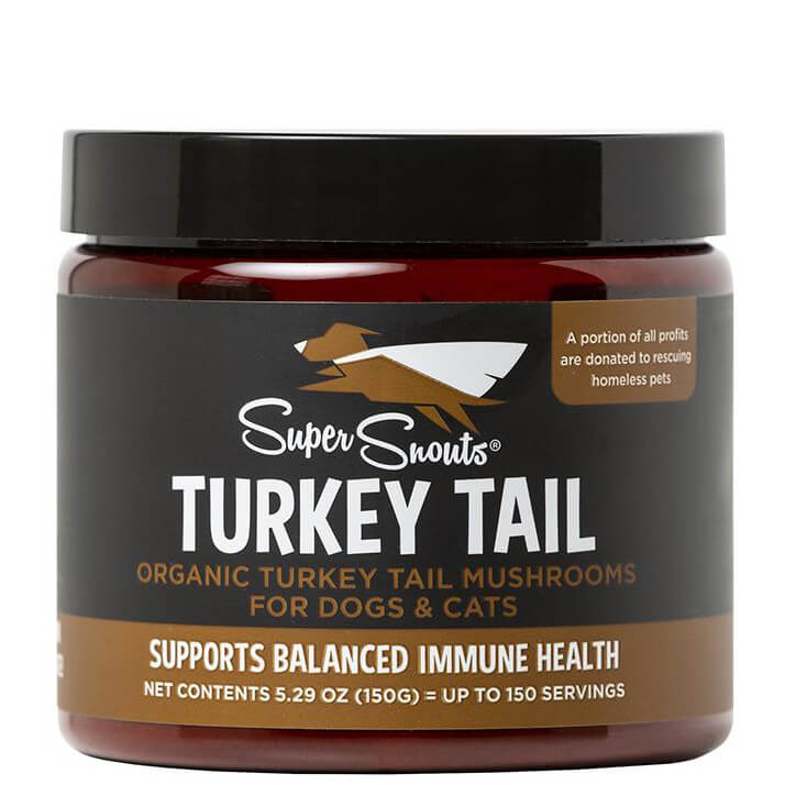 Diggin Your Turkey Tail Powder