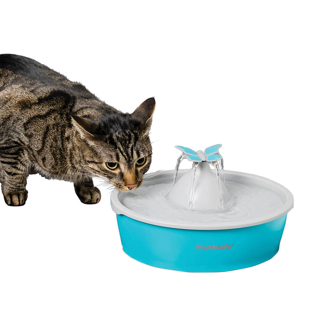 Drinkwell Butterfly Pet Fountain
