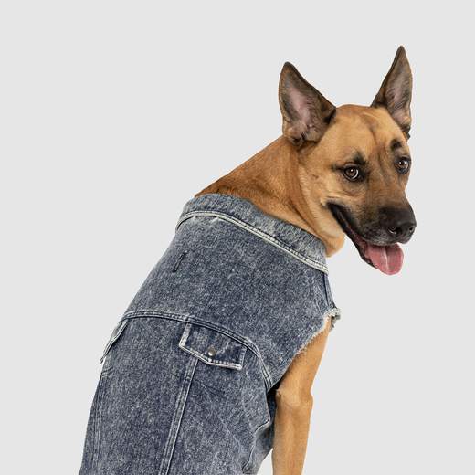 Canada Pooch Downtown Denim Vest