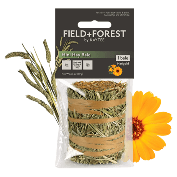 Field + Forest Mini Hay Bales