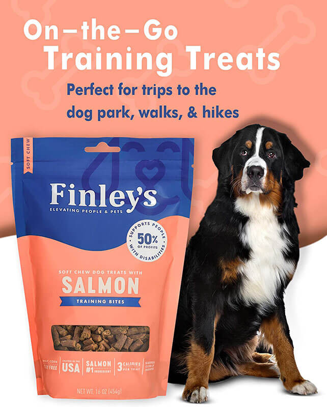 Finley's Soft Chew Training Bites Salmon