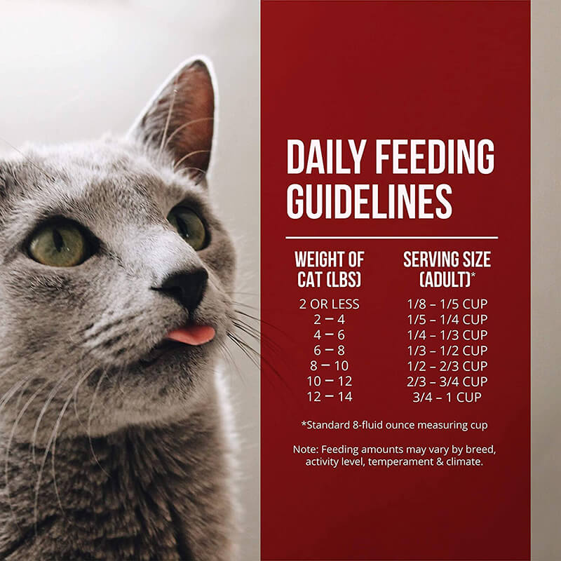 Fussie Cat Fresh Turkey & Chicken