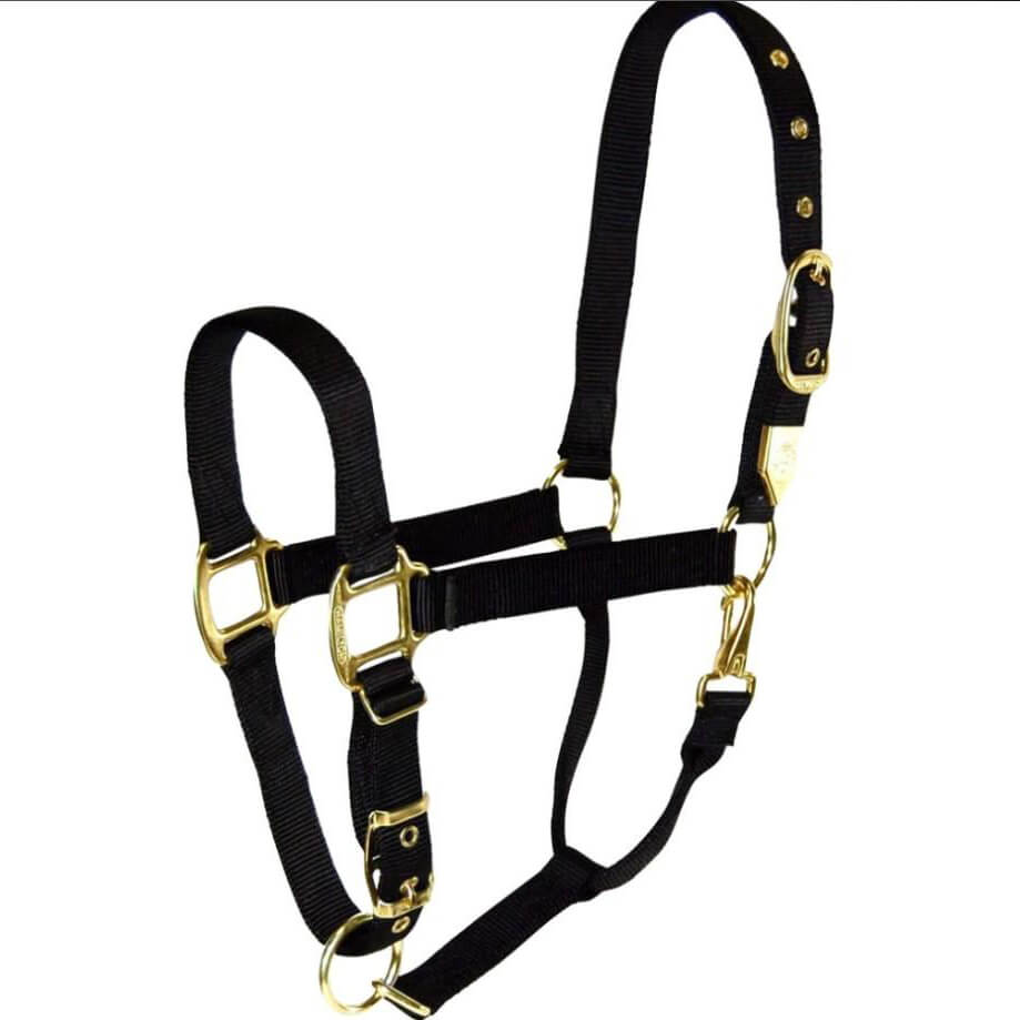 black Hamilton Adjustable Chin Halter w/Snap