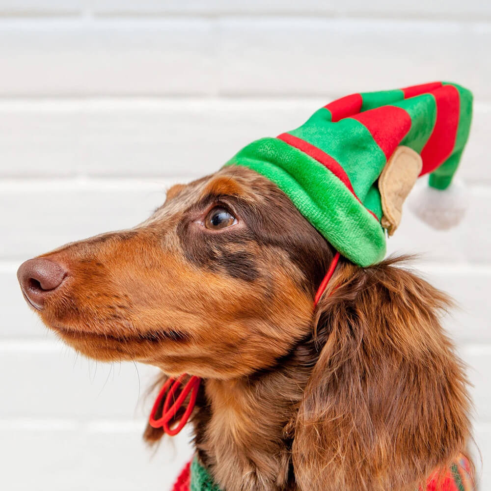 Huxley & Kent Lil Helper Elf Hat with SnugFit