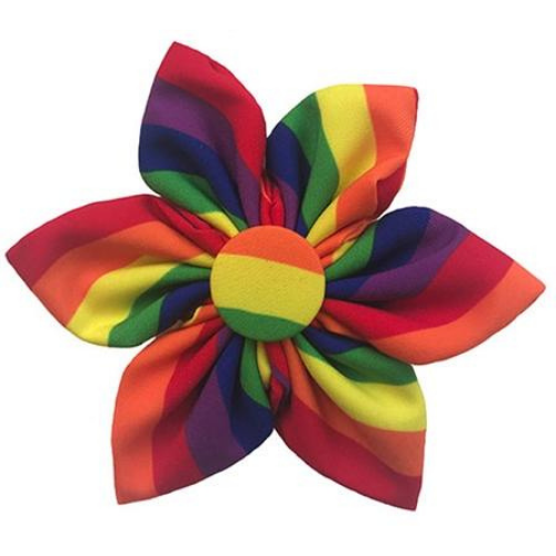 Huxley & Kent Pride Pinwheel
