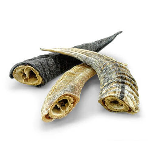 Icelandic+ Small Lamb Horn with Marrow
