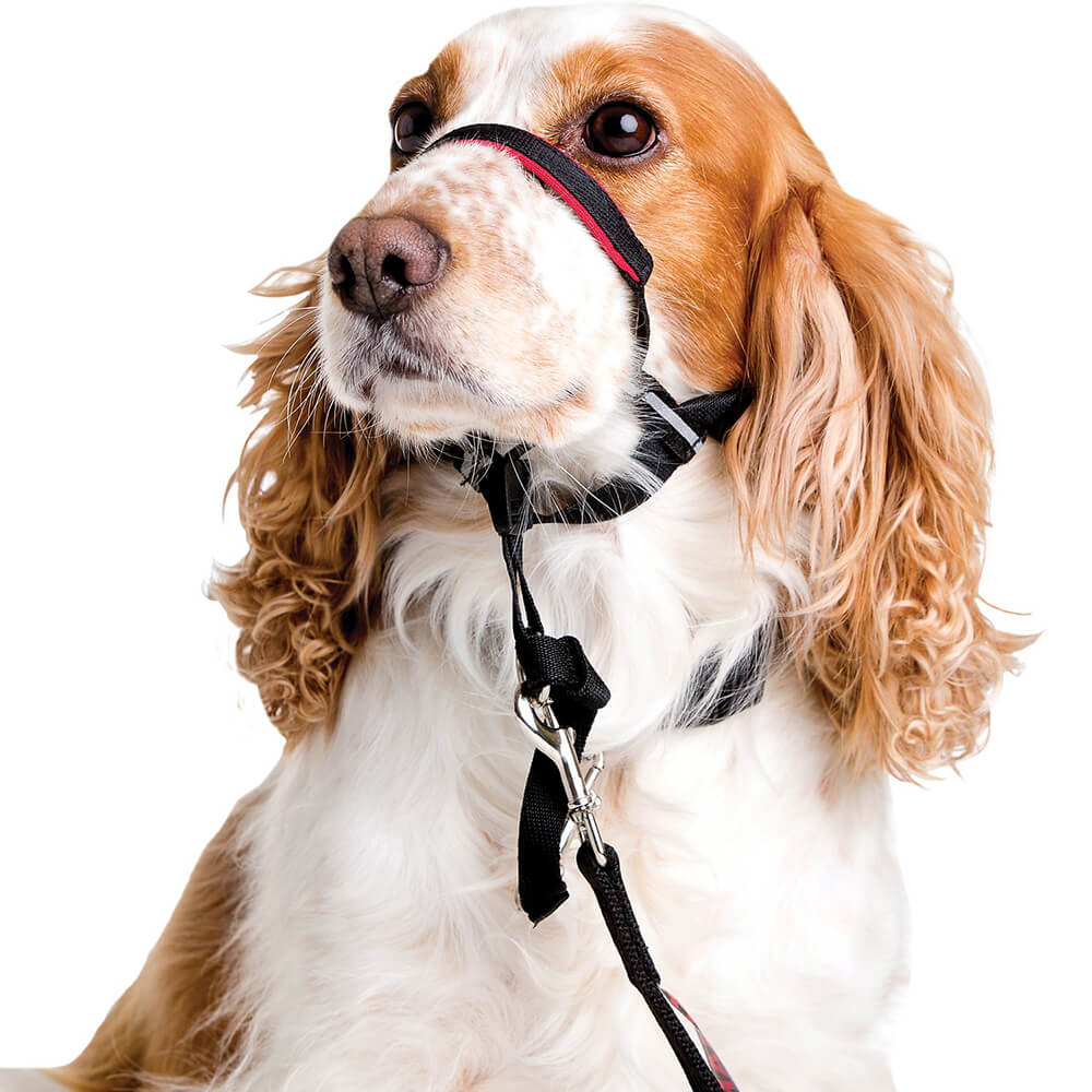 In The Company Of Animals Dog Halti Optifit