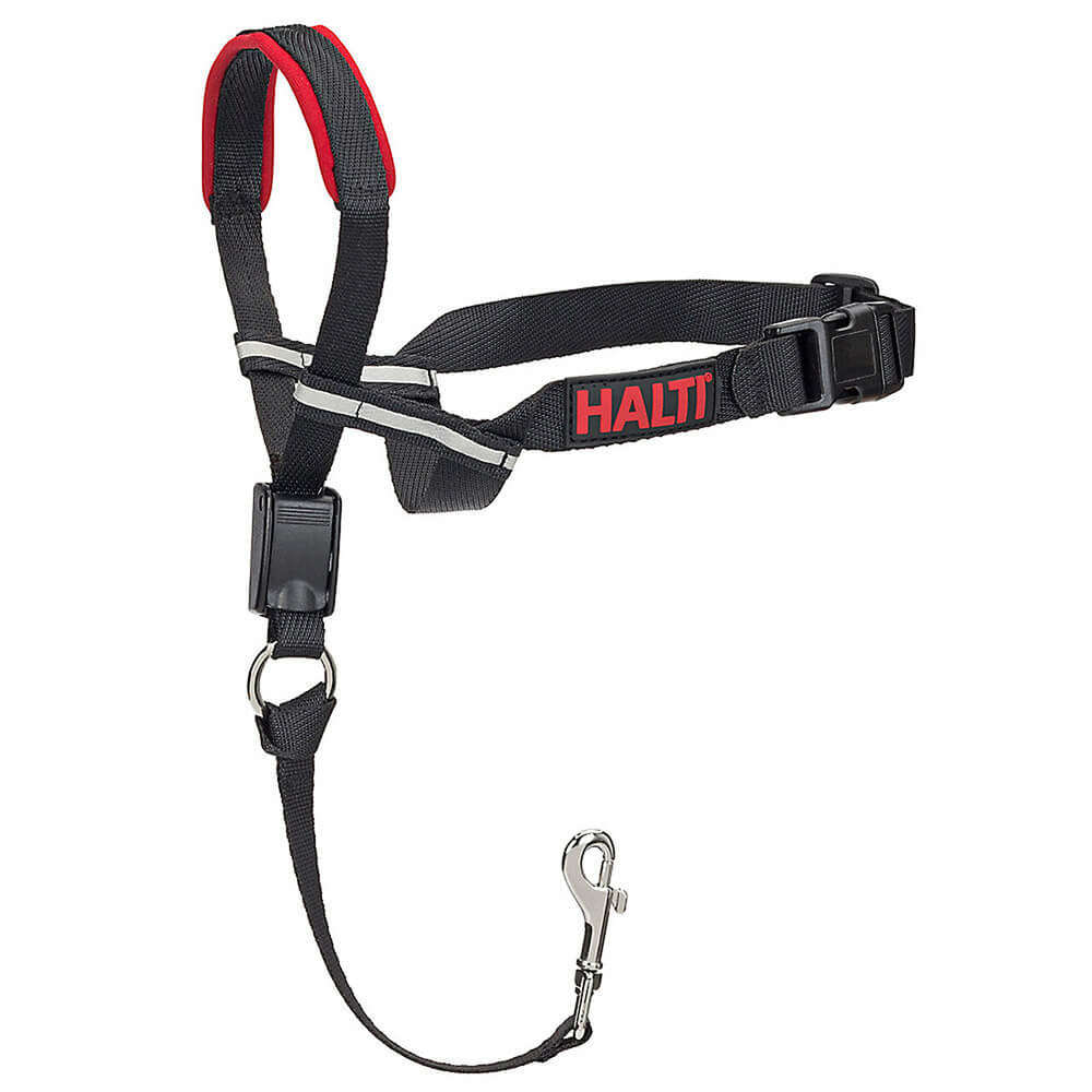 In The Company Of Animals Dog Halti Optifit