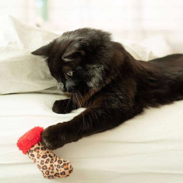 Kittybelles Leopard Stocking Catnip Toy