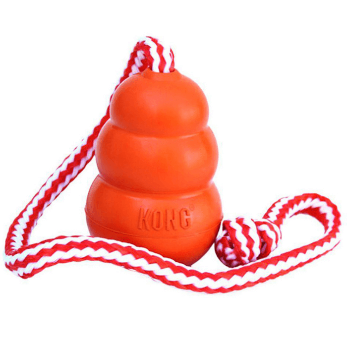 Kong Aqua