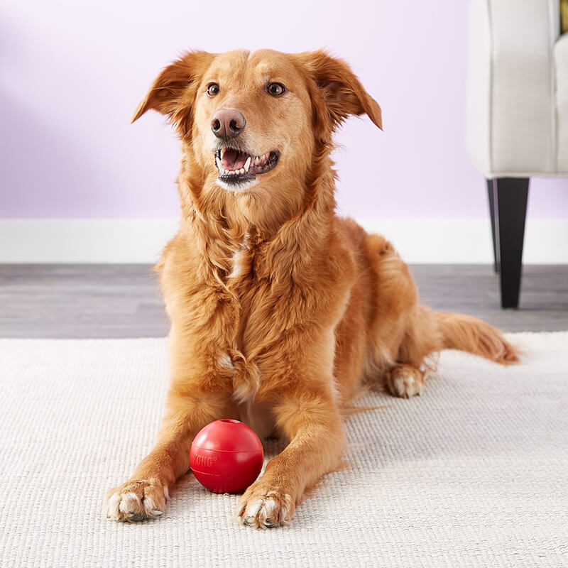 Kong Classic Ball