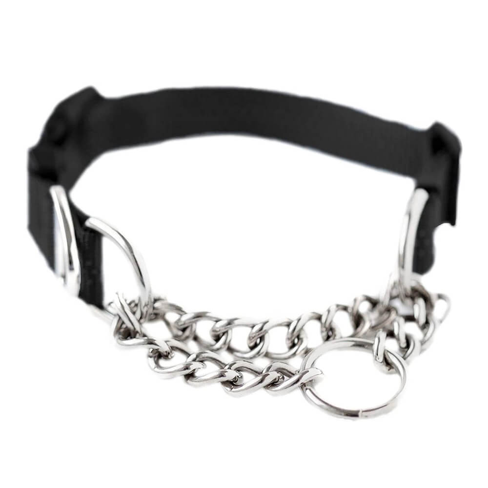 Mighty Paw Martingale Chain Cinch Collar