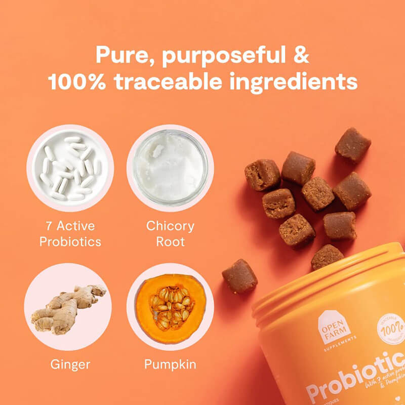 Open Farm Supplement Chews Probiotic