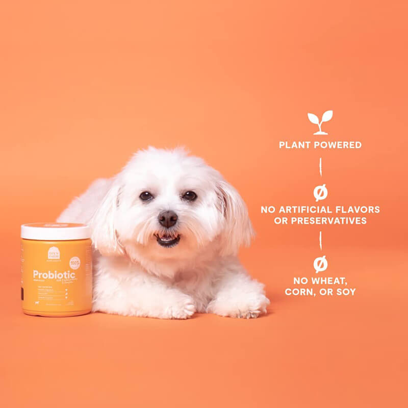 Open Farm Supplement Chews Probiotic