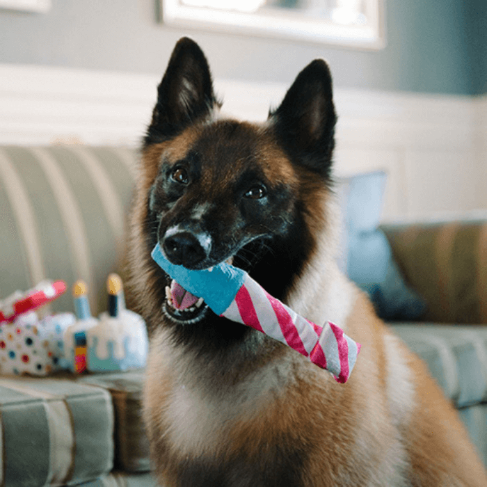 P.L.A.Y. Raise the Woof Party Horn Toy