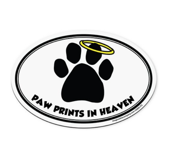 Imagine This Car Magnet - Paw Prints in Heaven