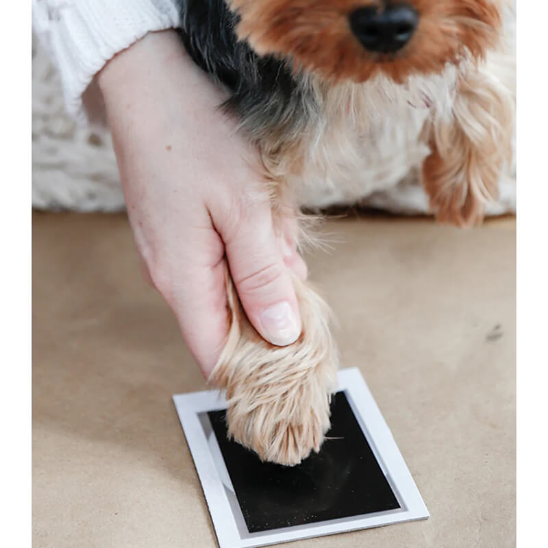 Pearhead Pet Pawprint Clean-Touch Ink Pad