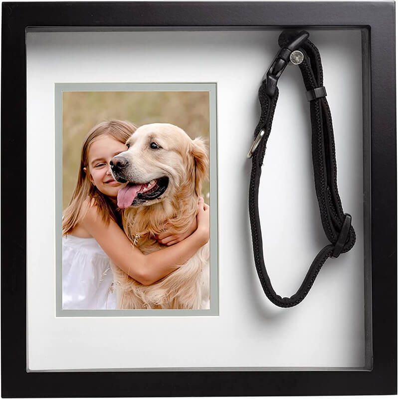 Pearhead Pet Collar and Photo Frame