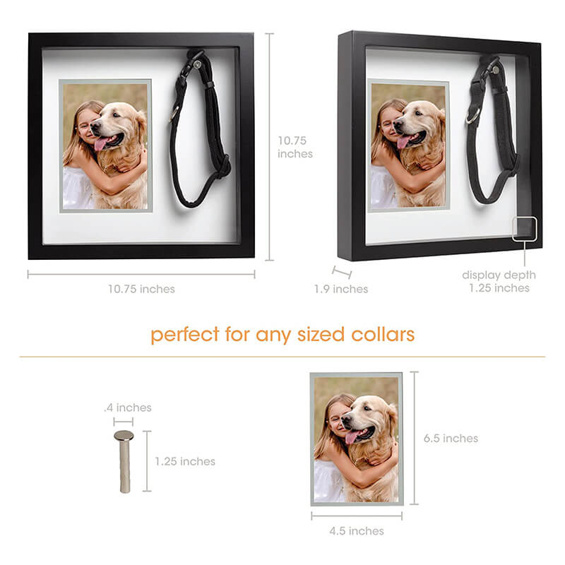 Pearhead Pet Collar and Photo Frame