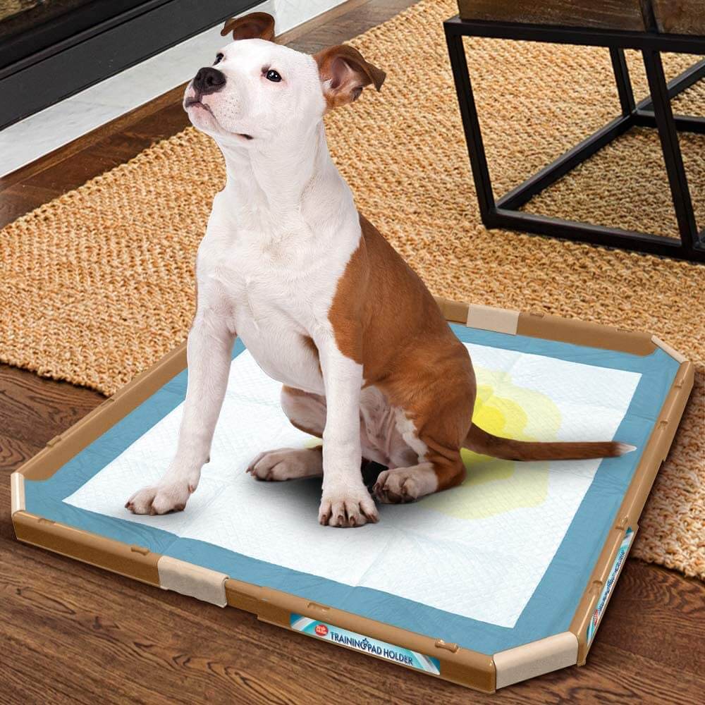 Simple Solution Training Pad Holder