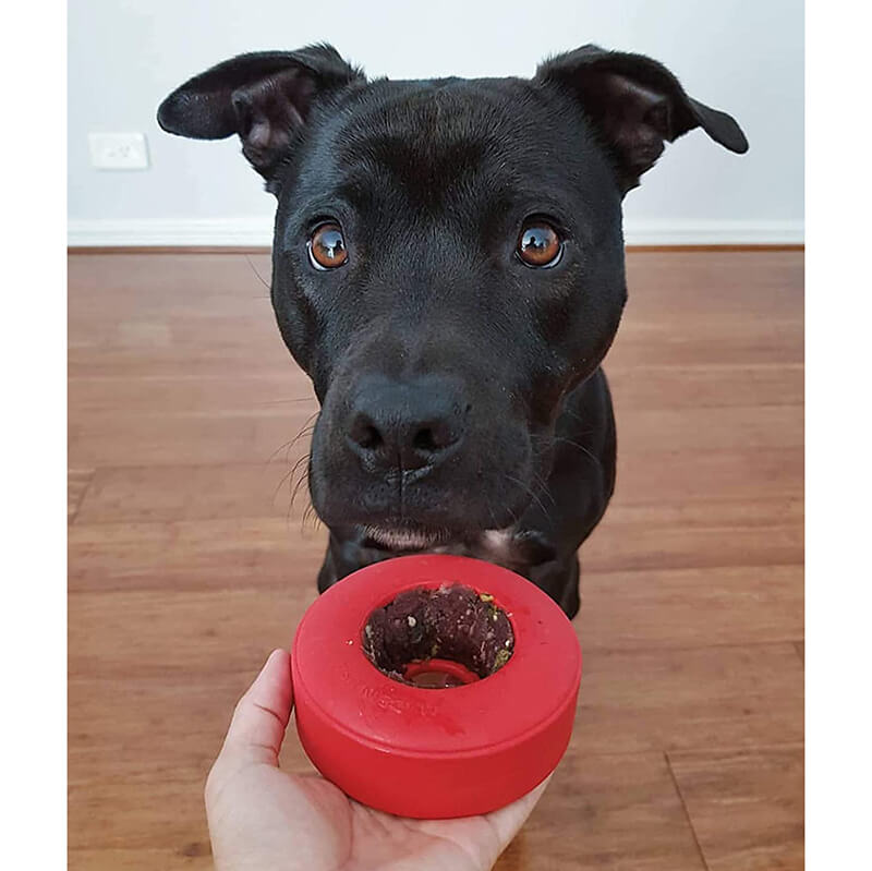 Soda Pup Rubber Life Saver - Stuffable Enrichment Toy