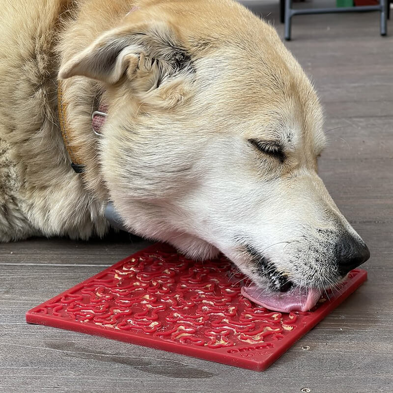 Sodapup Bones Lick Mat