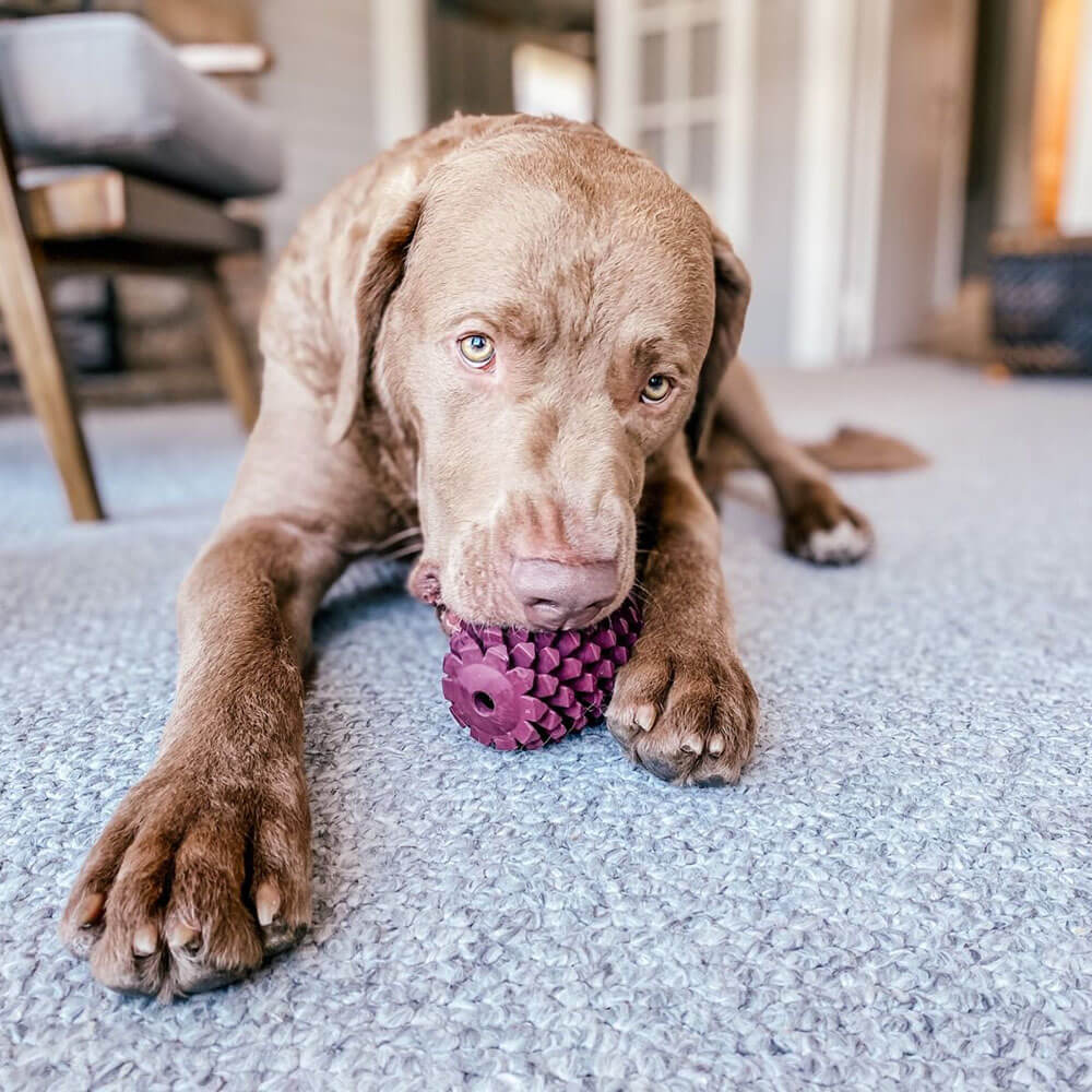 Tall Tails Natural Rubber Pinecone Toy