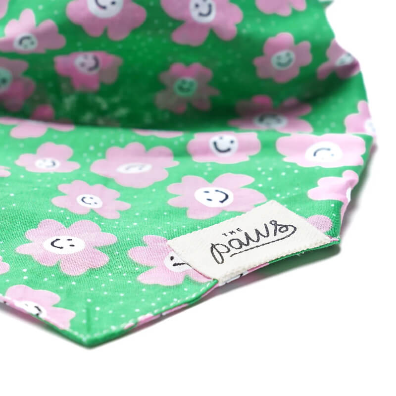 The Paws Bandana - Ziggy