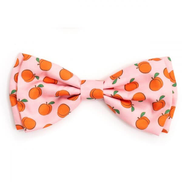 The Worthy Dog Bow Tie Peachy Keen