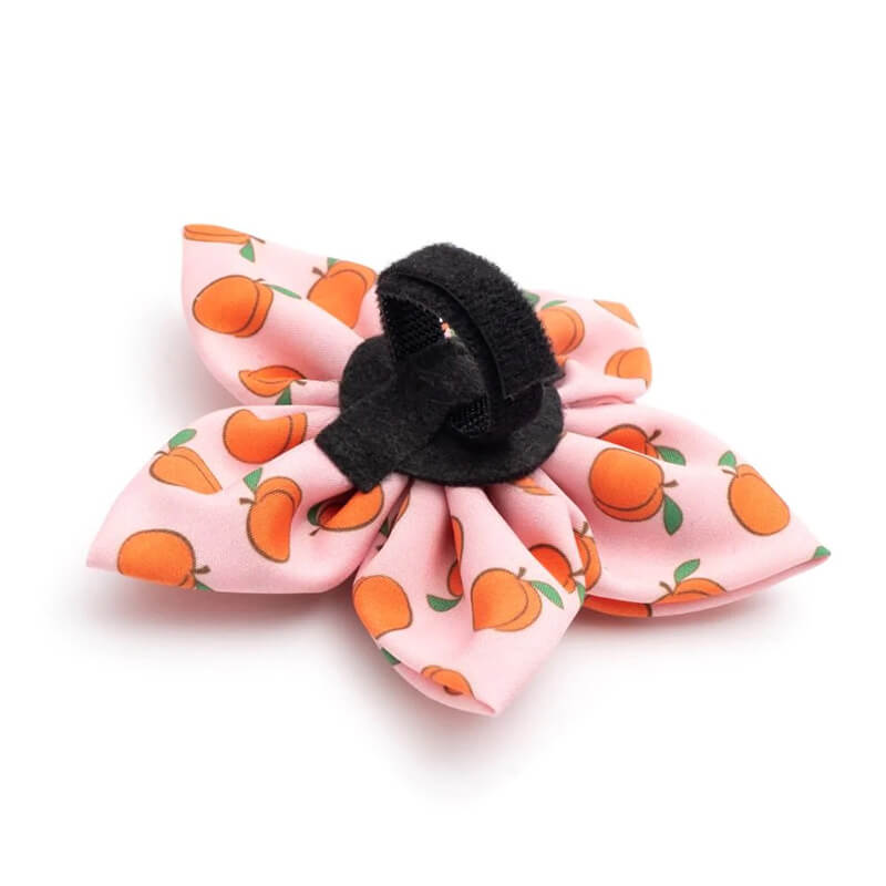 The Worthy Dog Flower Peachy Keen