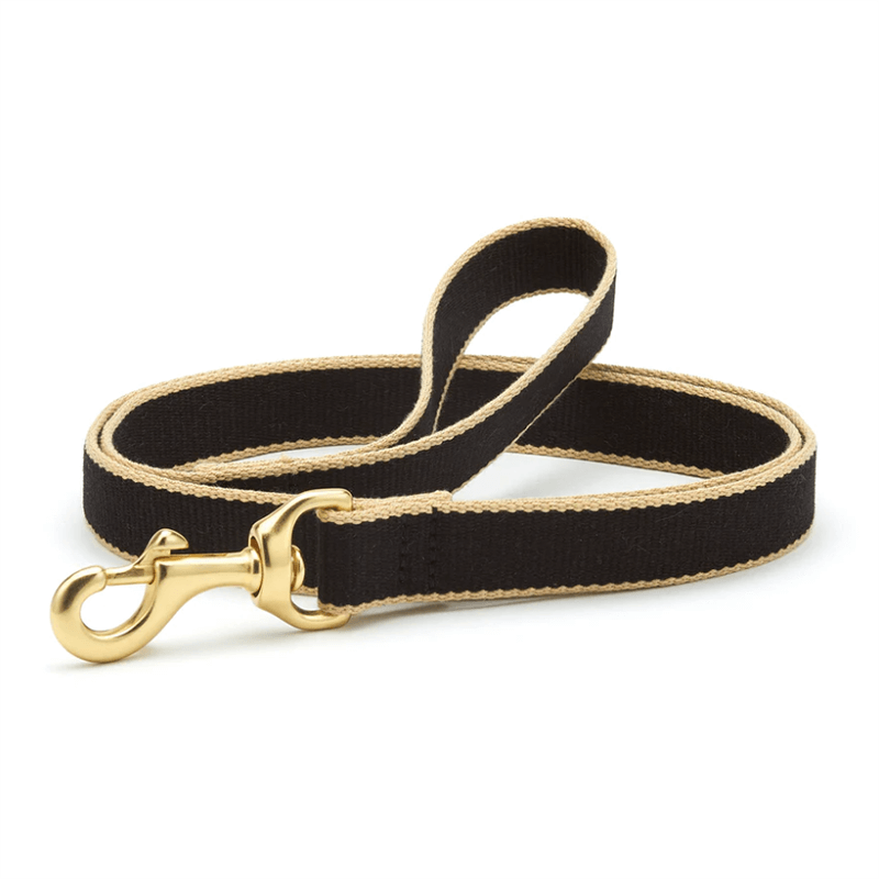 Up Country Color Market Leash