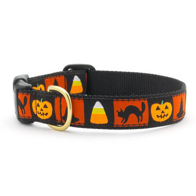 Up Country Halloween Collar