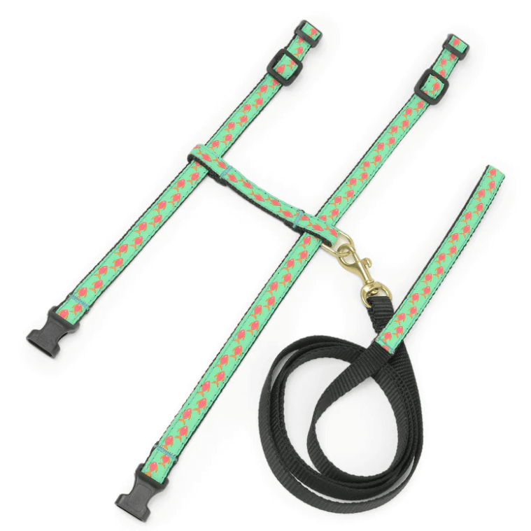 Up Country Cat Harness & Lead Set Tropical Fish