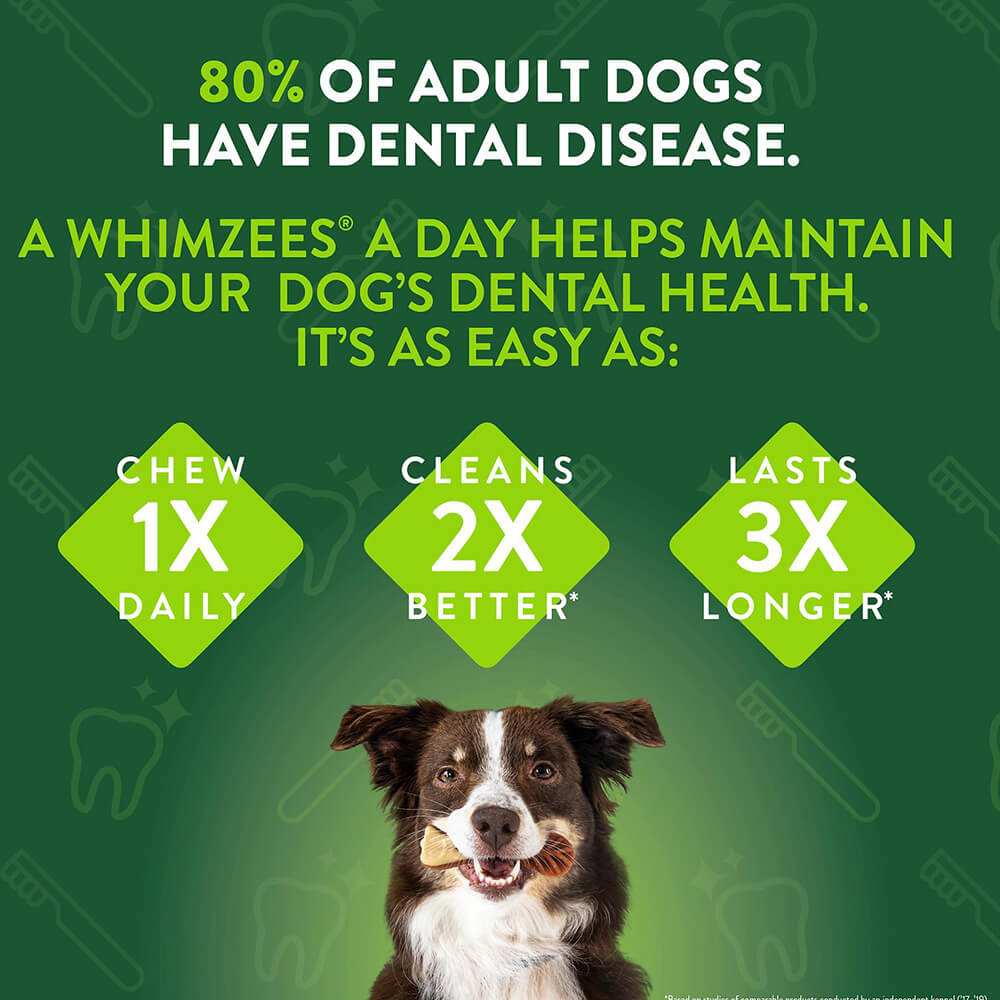 Whimzee Dental Chews Variety Pail